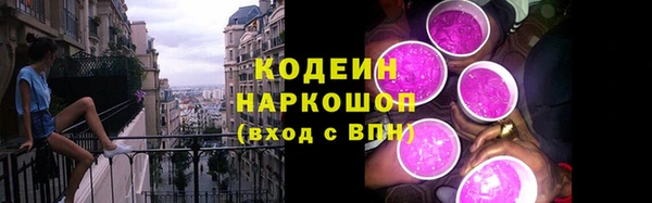 дмт Дмитров