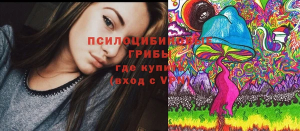 дмт Дмитров