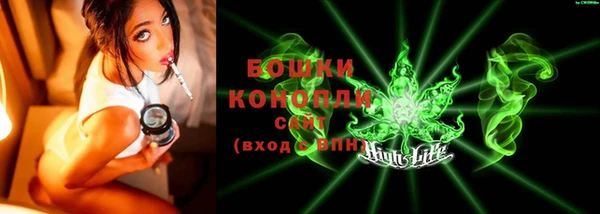 дмт Дмитровск