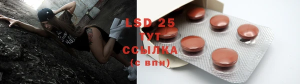 2c-b Дмитриев