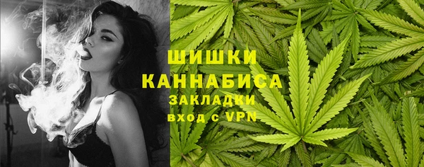 дмт Дмитровск