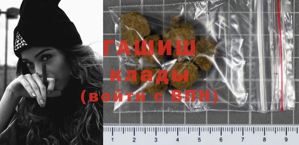 дмт Дмитров